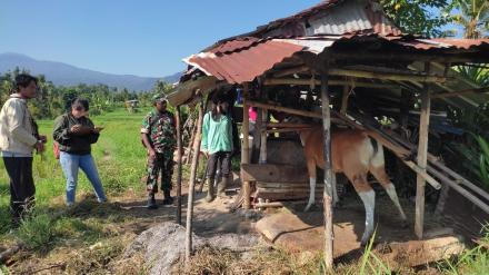 Vaksinasi Penyakit Mulut dan Kuku (PMK) Desa Nagasepaha